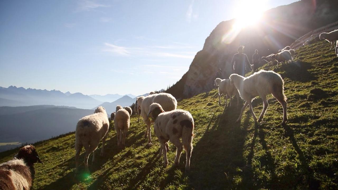Appartamento Alpen Quartier Uderns Esterno foto